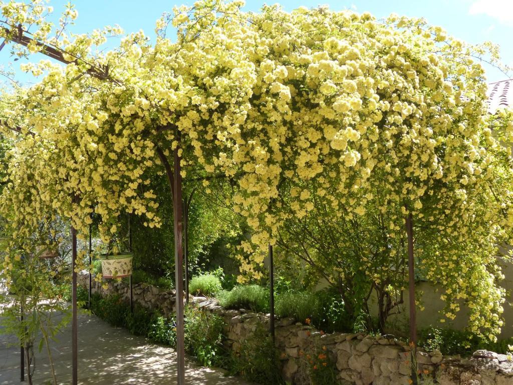 Bed and Breakfast La Ferme du petit Ségriès Bed&Breakfast à Moustiers-Sainte-Marie Extérieur photo