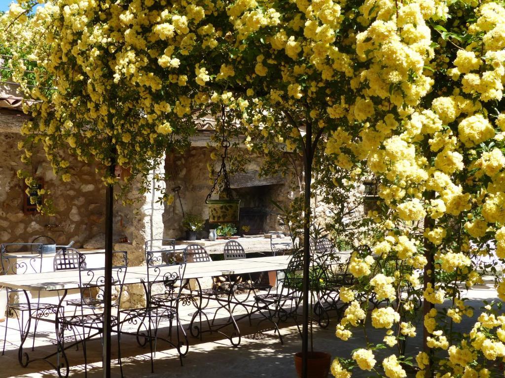 Bed and Breakfast La Ferme du petit Ségriès Bed&Breakfast à Moustiers-Sainte-Marie Extérieur photo