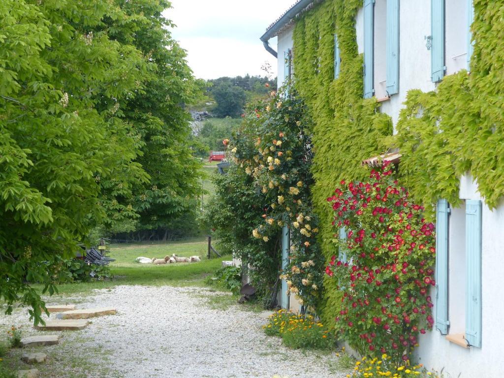 Bed and Breakfast La Ferme du petit Ségriès Bed&Breakfast à Moustiers-Sainte-Marie Extérieur photo