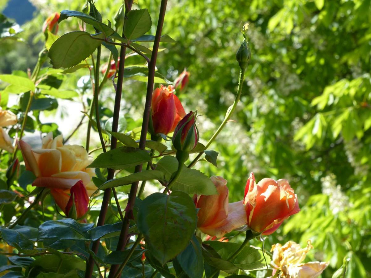 Bed and Breakfast La Ferme du petit Ségriès Bed&Breakfast à Moustiers-Sainte-Marie Extérieur photo